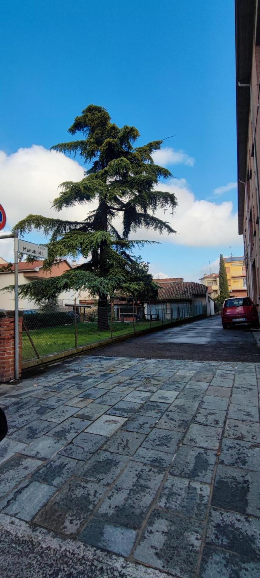 La Porta Verde 8 Collecchio Dış mekan fotoğraf